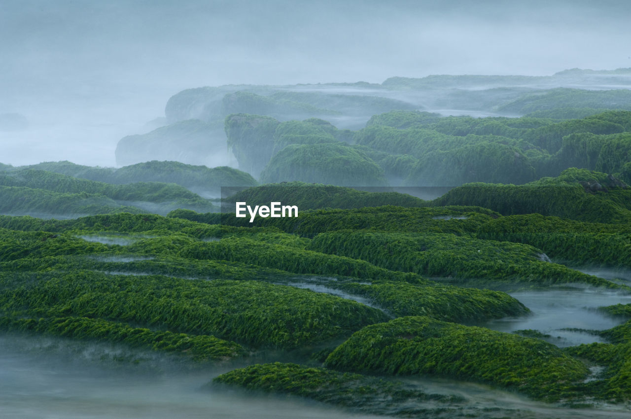 SCENIC VIEW OF WATERFALL