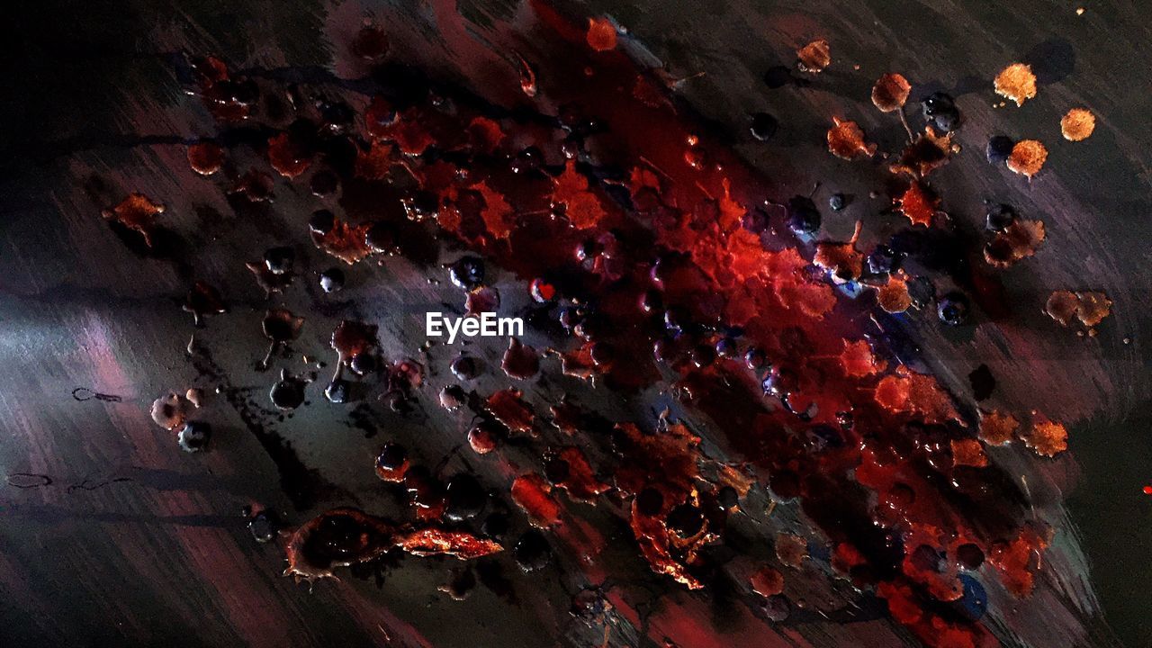 AERIAL VIEW OF PEOPLE IN STREET