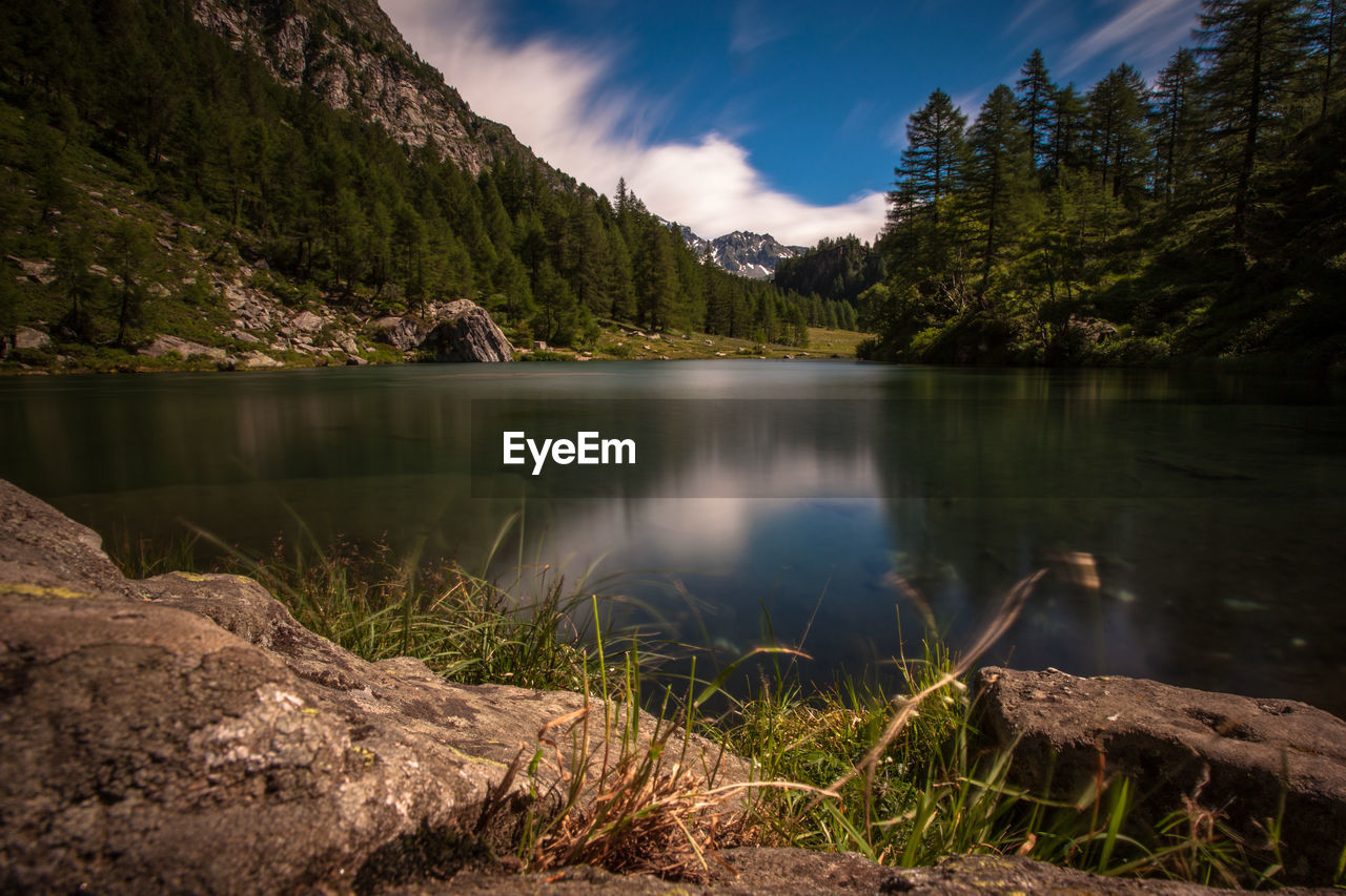 Scenic view of lake with trees in background