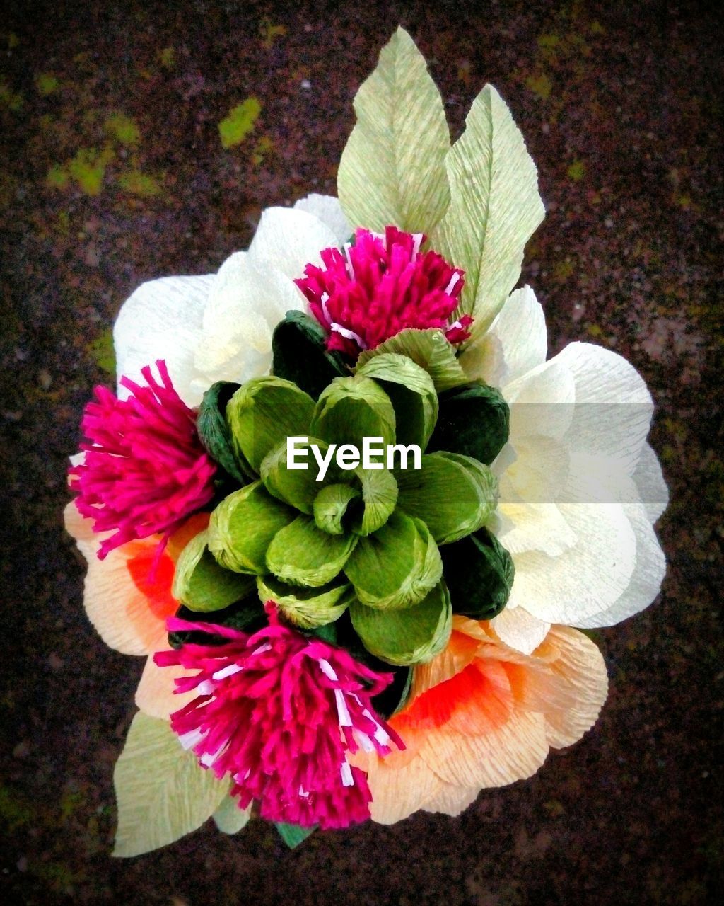 HIGH ANGLE VIEW OF PINK FLOWER