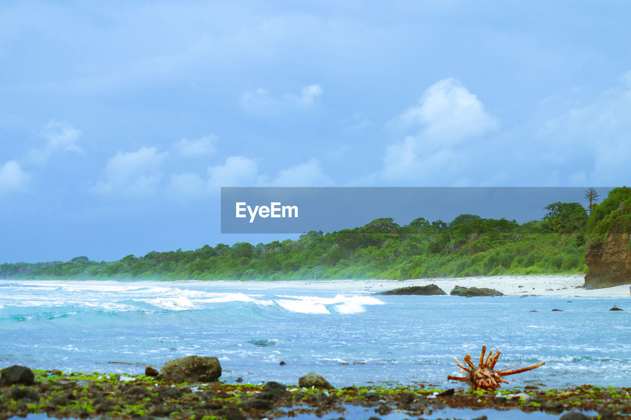 SCENIC VIEW OF BEACH