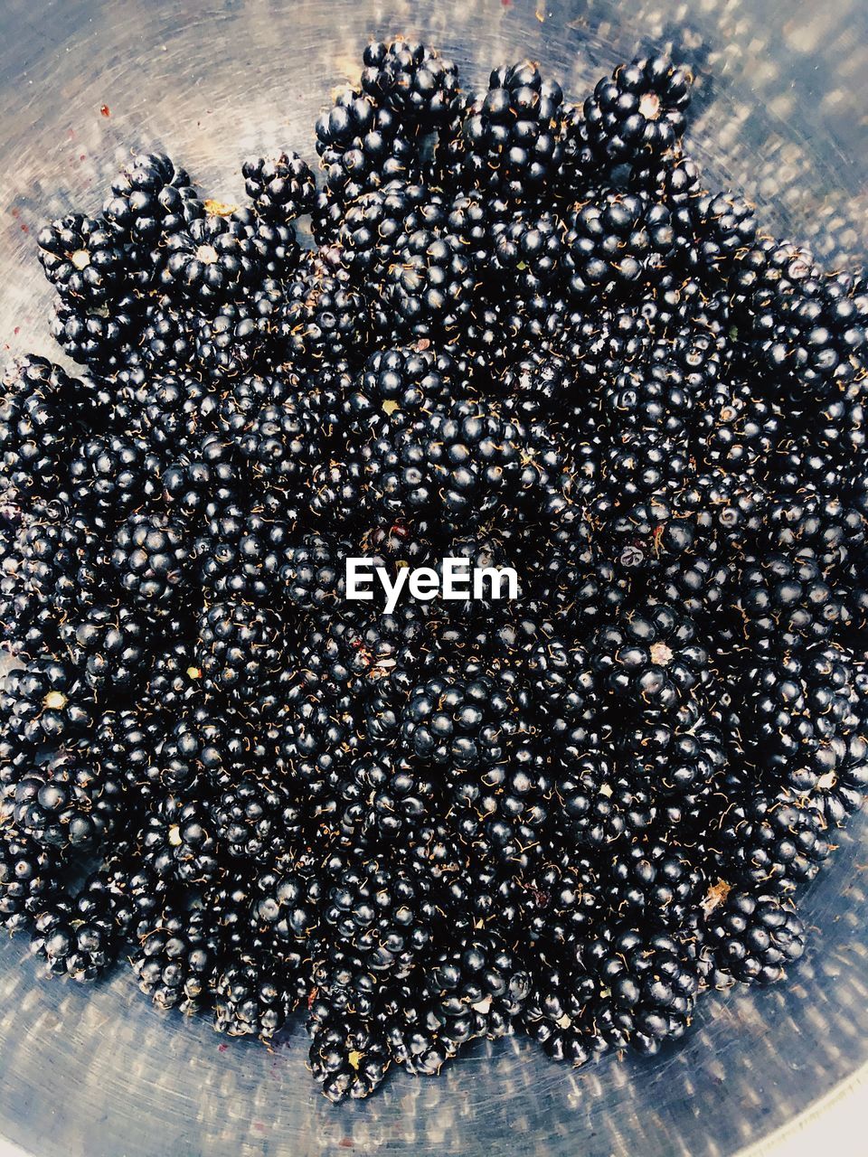 HIGH ANGLE VIEW OF BLACK BERRIES