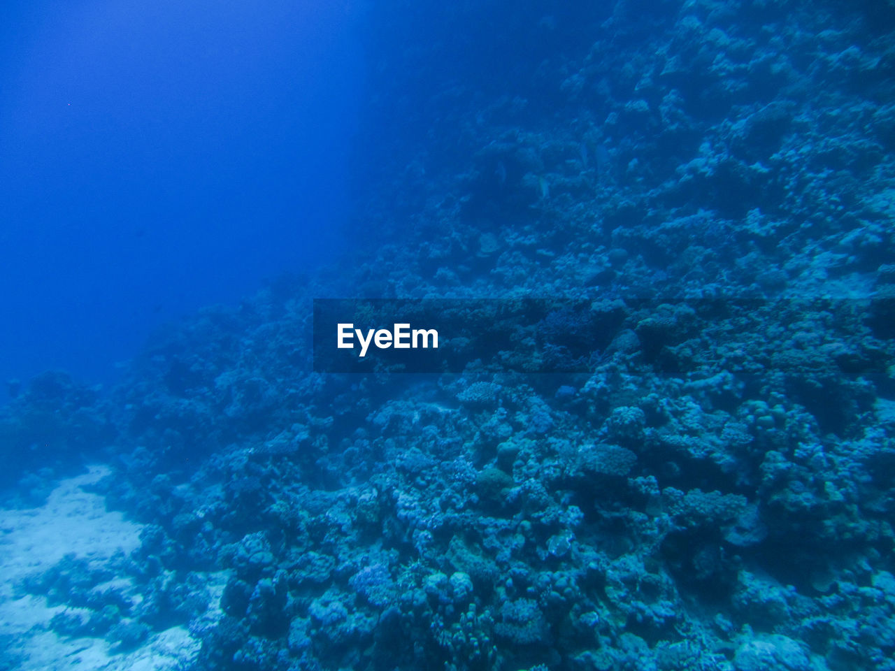 AERIAL VIEW OF SEA AND UNDERWATER