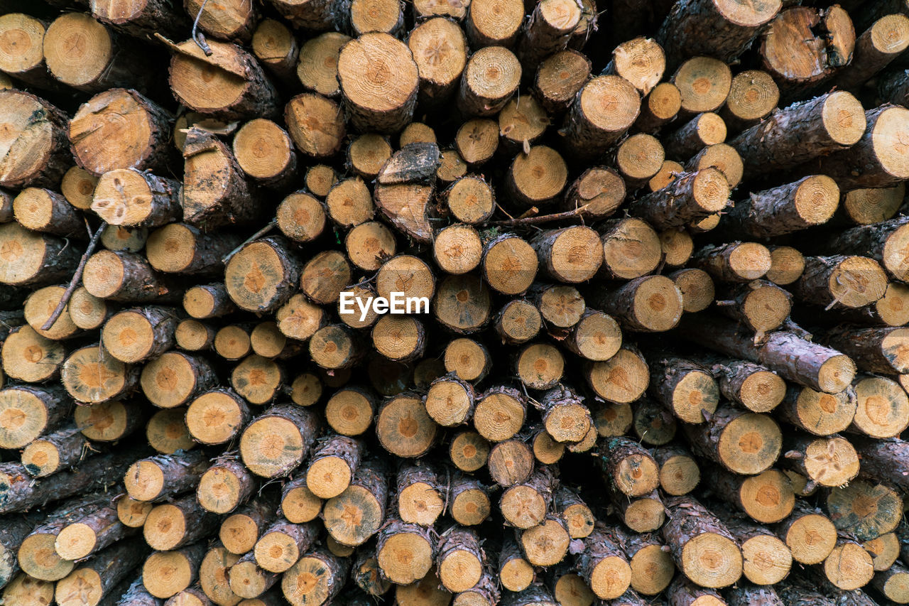 Full frame shot of logs