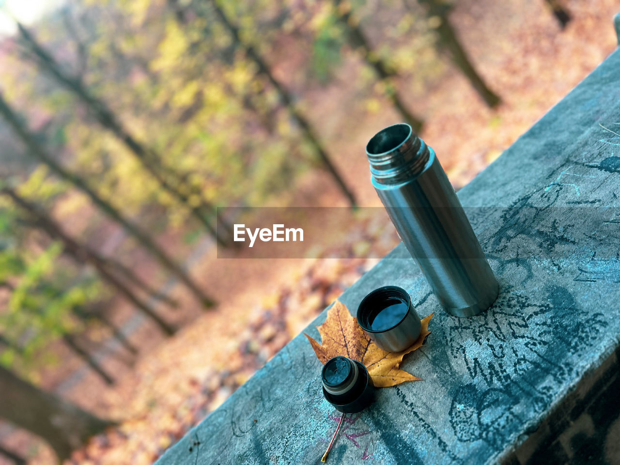 green, blue, firearm, weapon, no people, metal, high angle view, leaf, day, nature, focus on foreground, outdoors, yellow, container, wood, close-up, tree