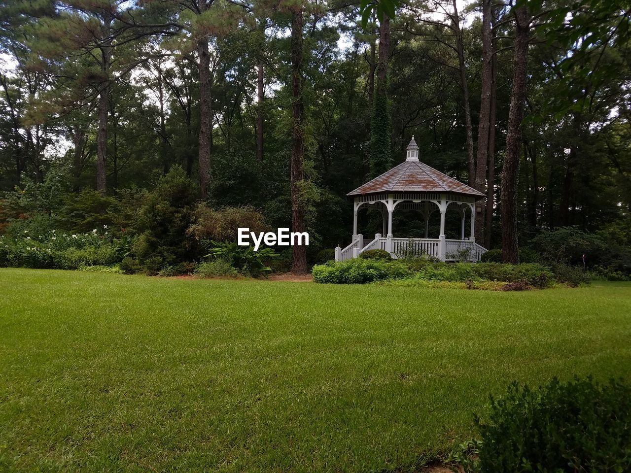 Built structure against trees