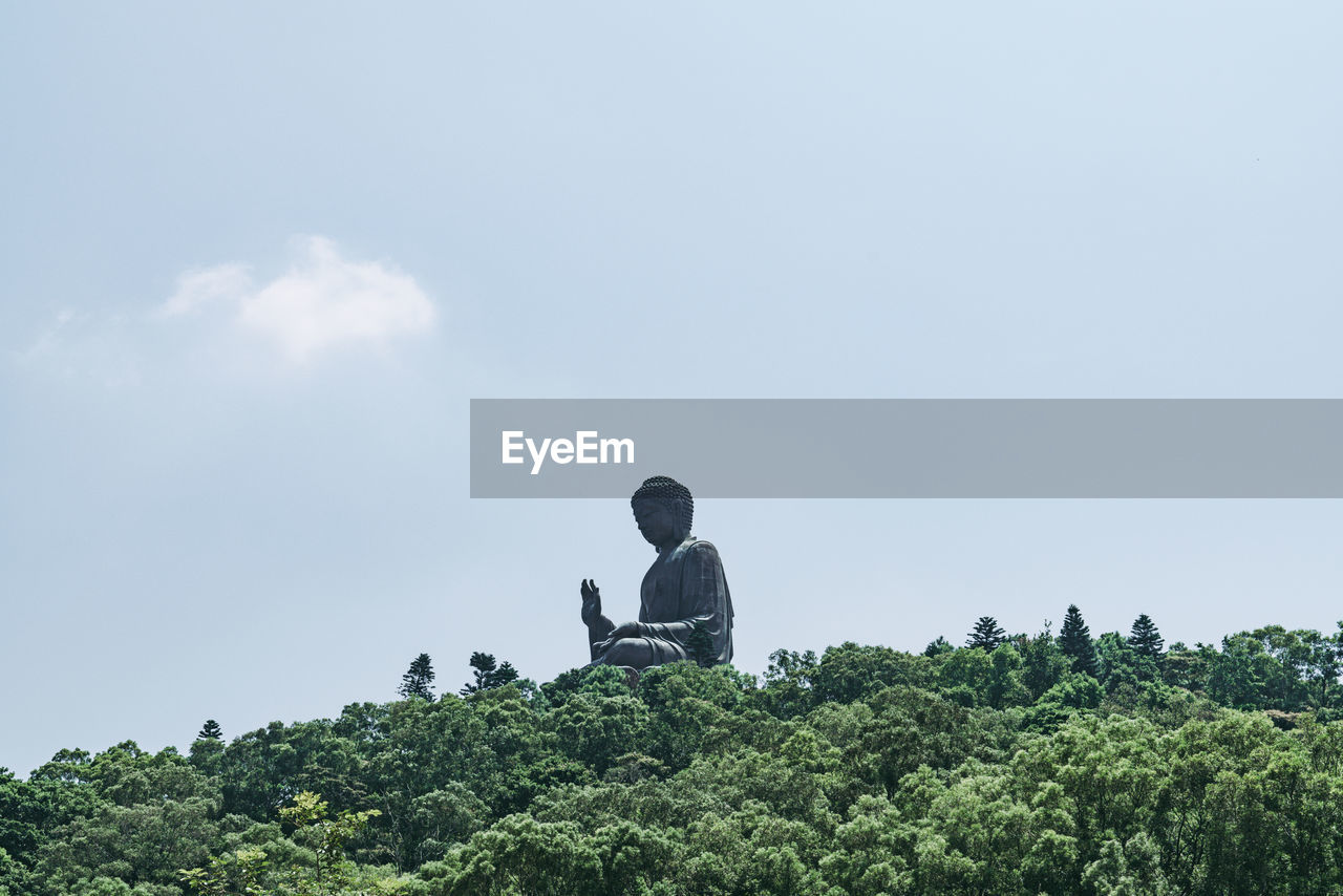 Low angle view of buddha statue and trees against clear sky