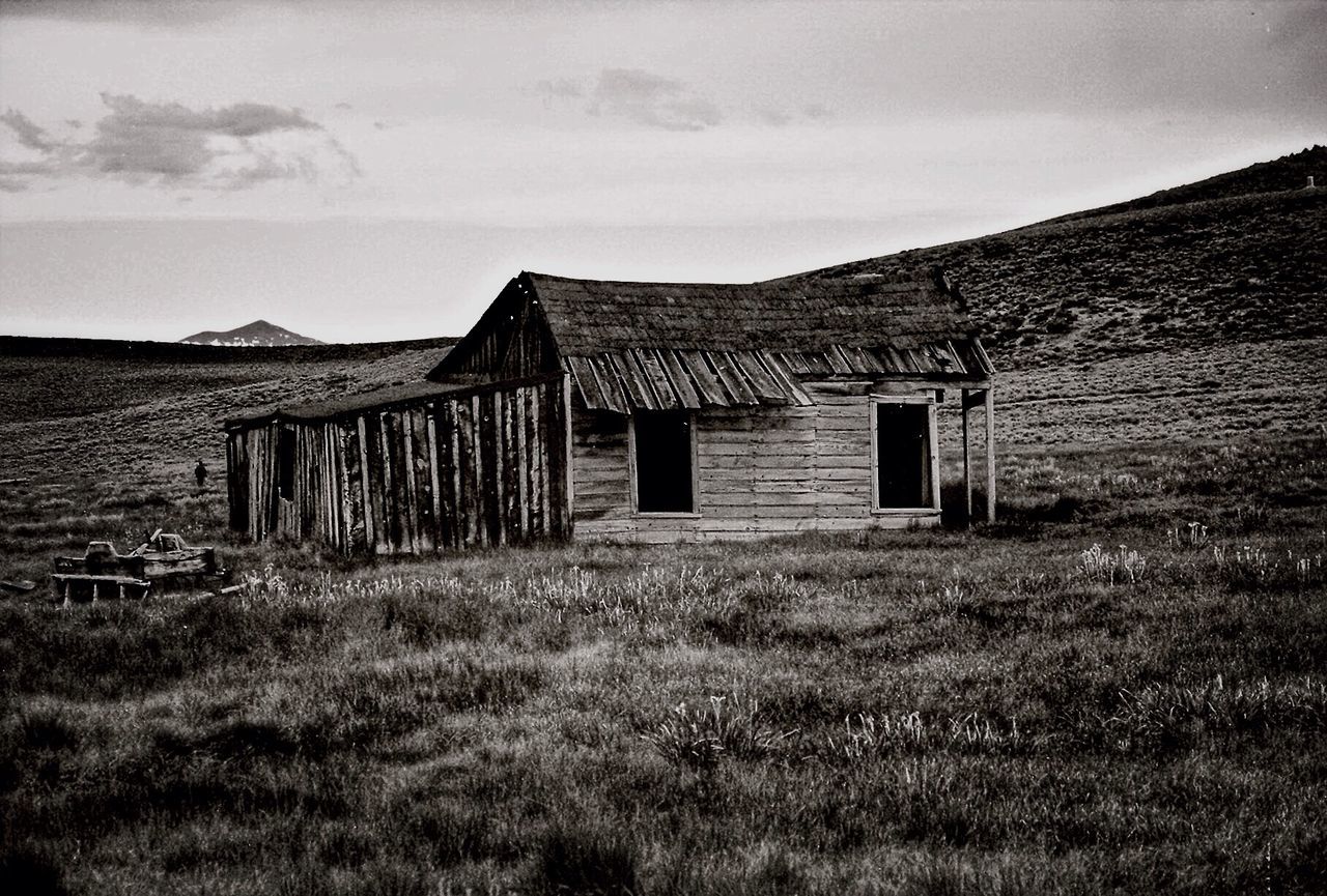 HOUSES ON GRASSY FIELD