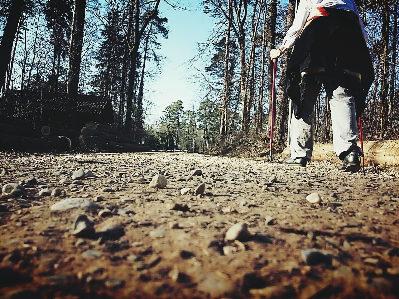 Low section of hiker on road against trees