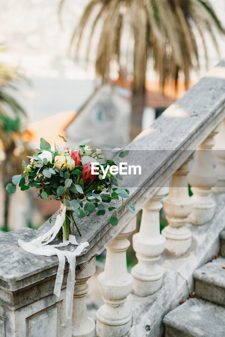 CLOSE-UP OF POTTED PLANT BY RAILING