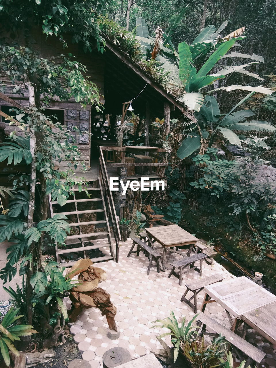 POTTED PLANTS OUTSIDE HOUSE