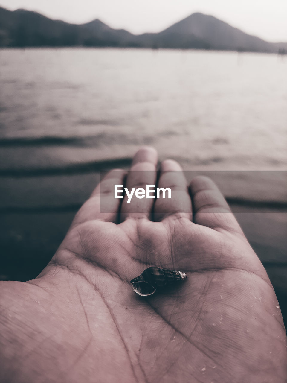 Close-up of hands holding water