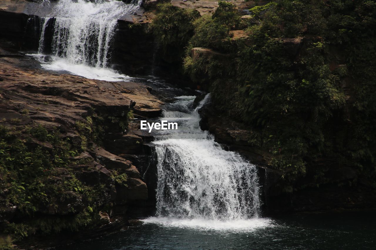 Scenic view of waterfall in forest