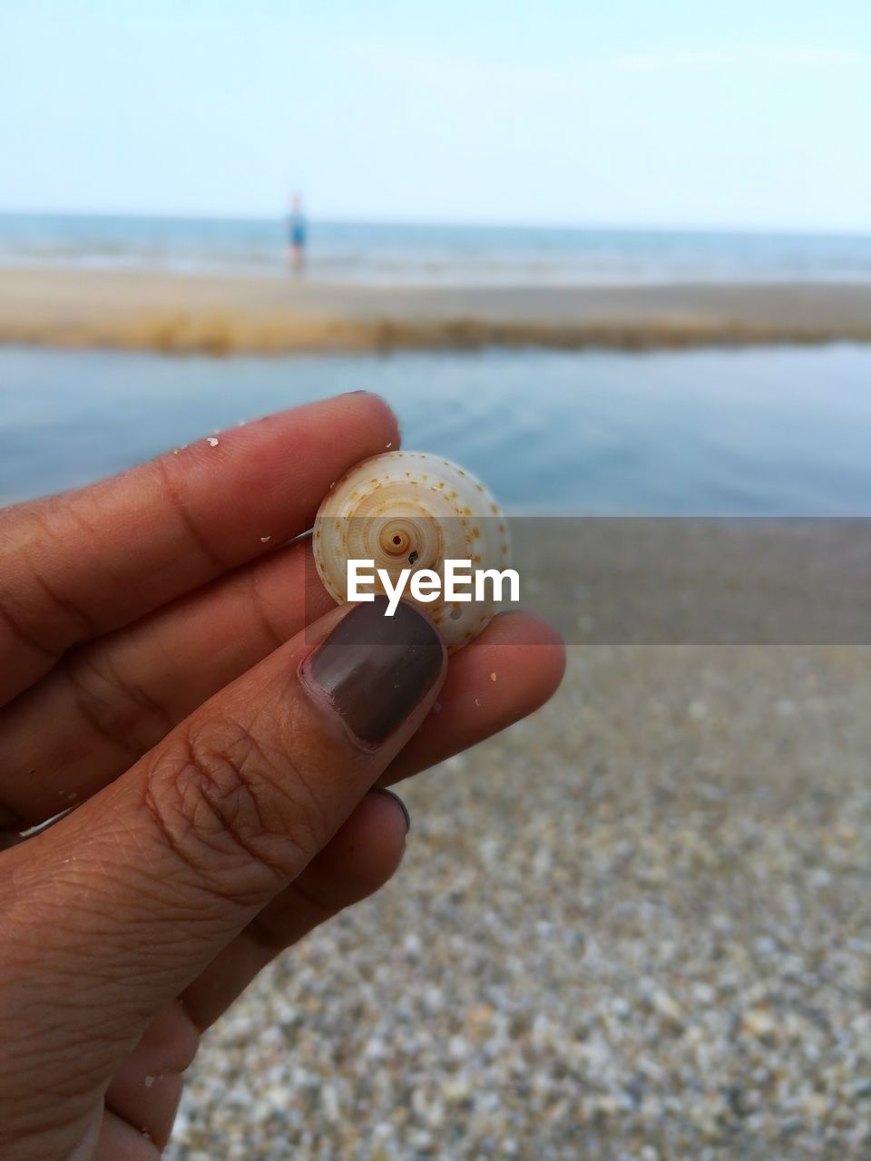 CLOSE-UP OF HAND HOLDING SHELL AT SEA SHORE