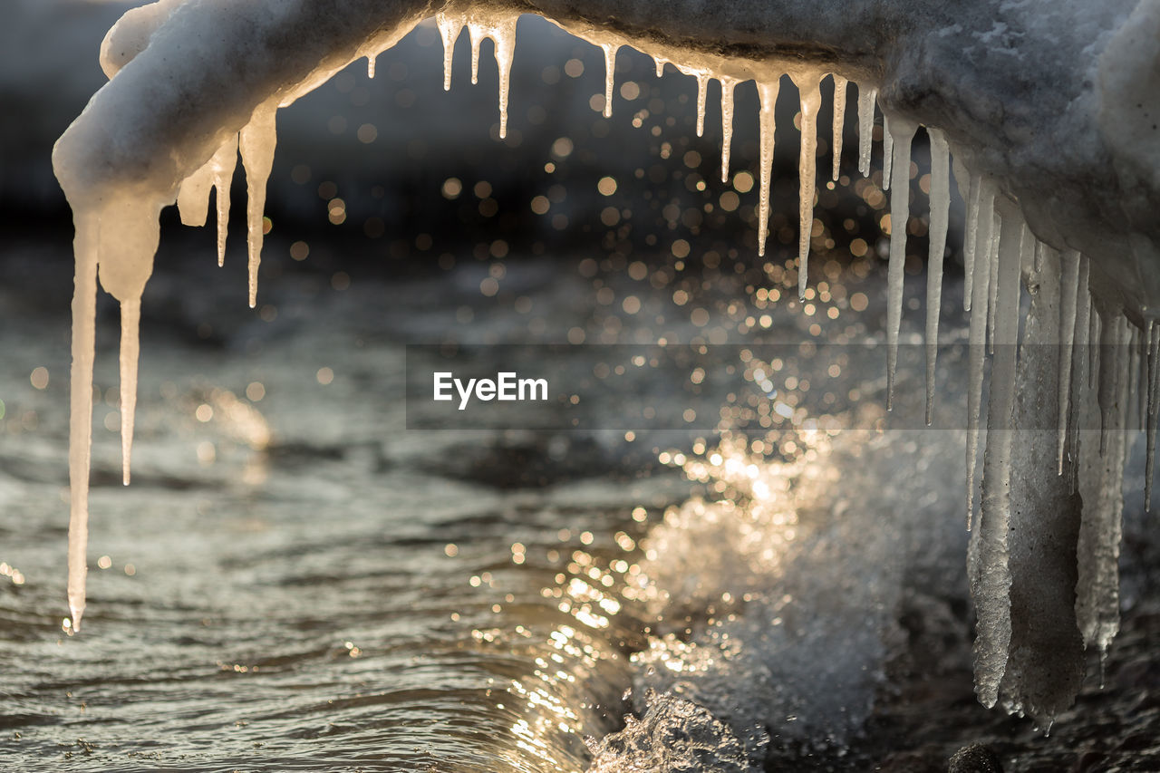 Close-up of icicles on driftwood by wave during sunny day