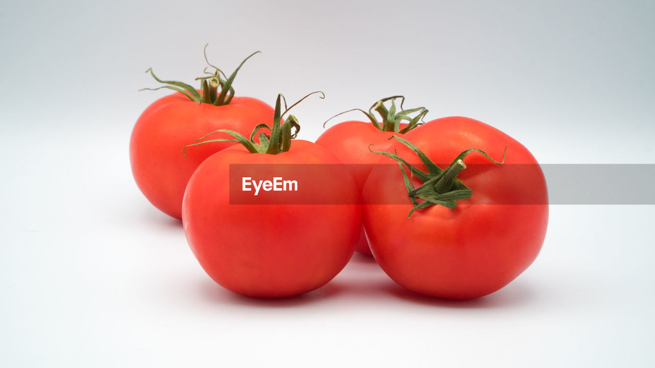 Close-up of tomatoes against white background