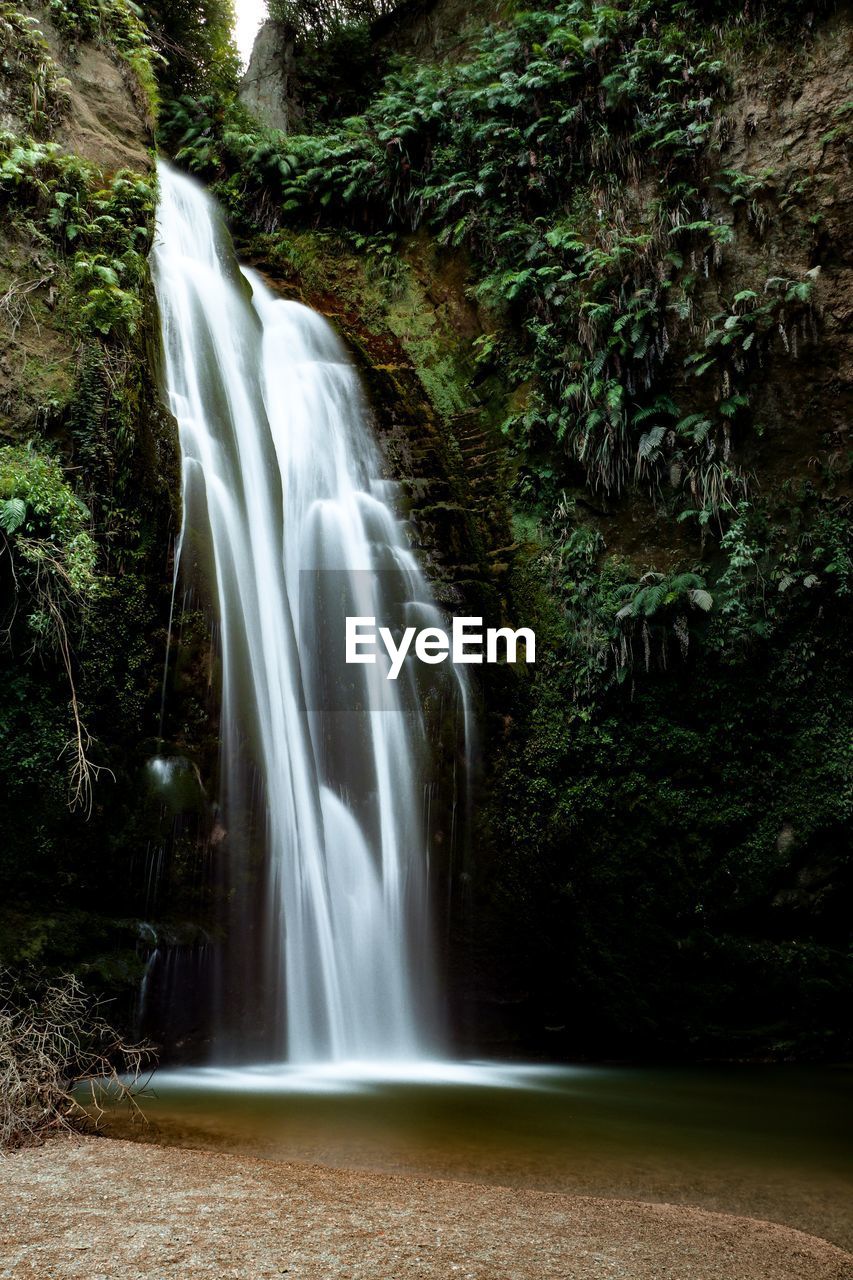 WATERFALL IN FOREST