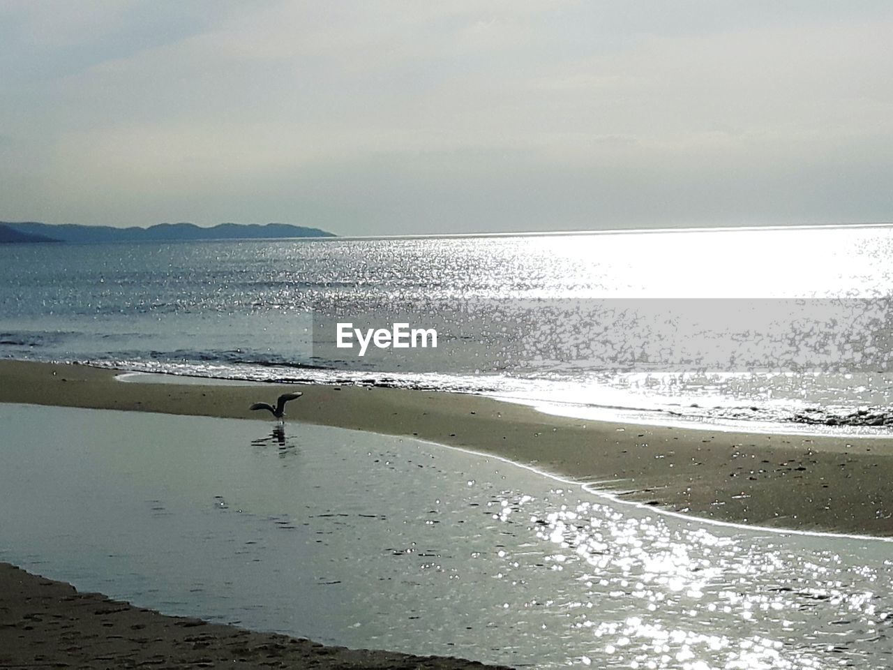 SCENIC VIEW OF BEACH