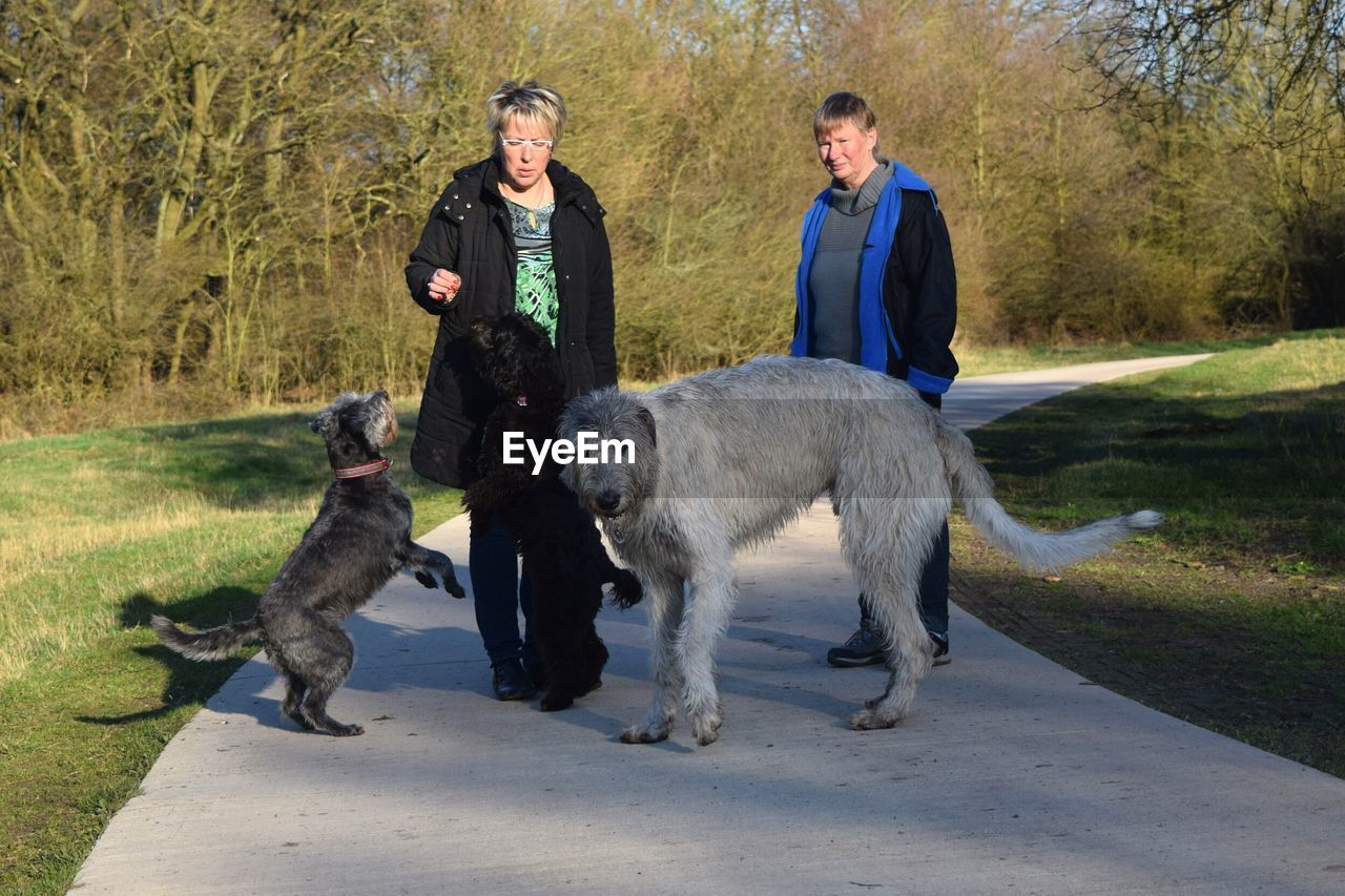 FULL LENGTH OF A DOG ON A MAN