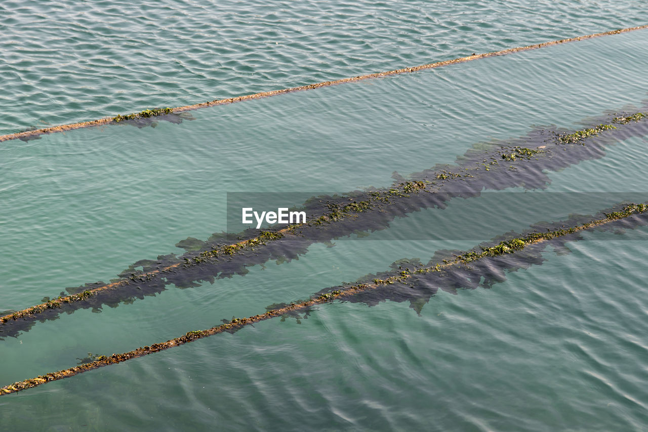 High angle view of floating on water