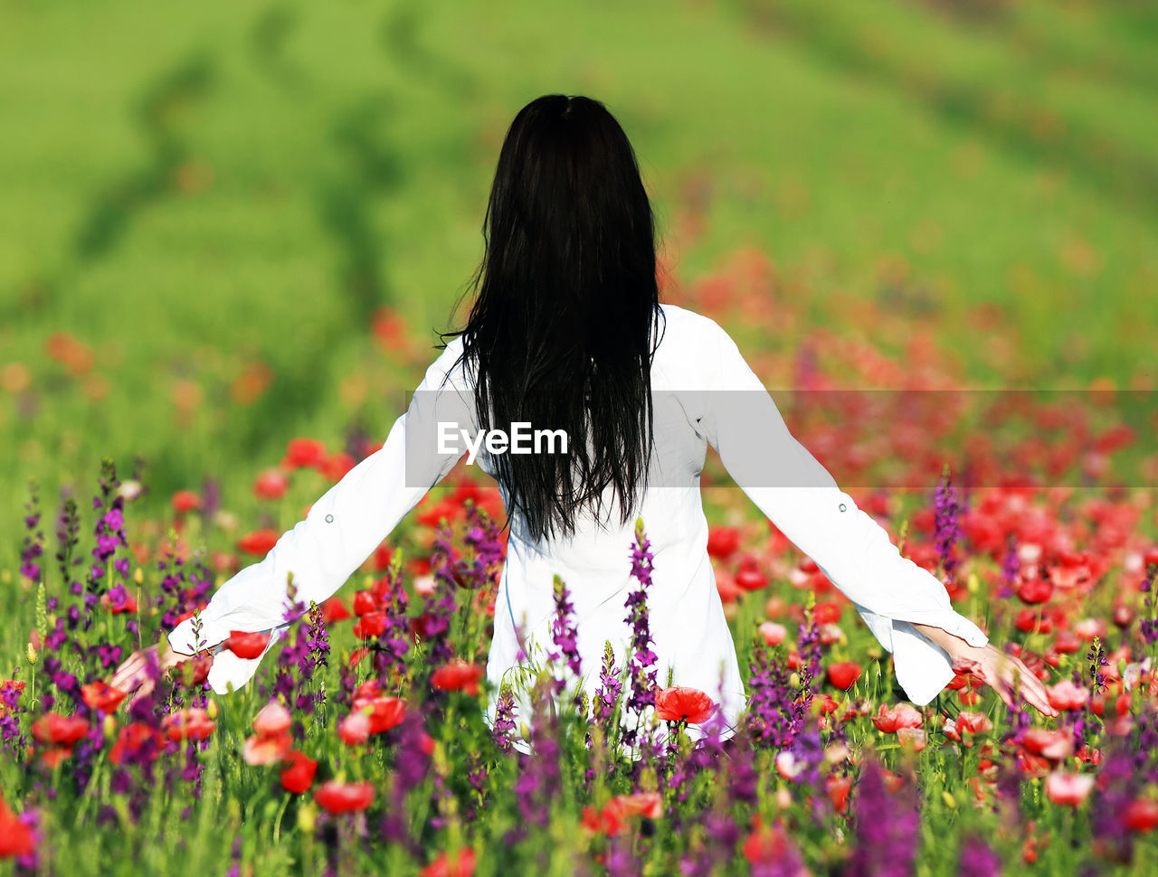 Rear view of woman amidst red flowers on field