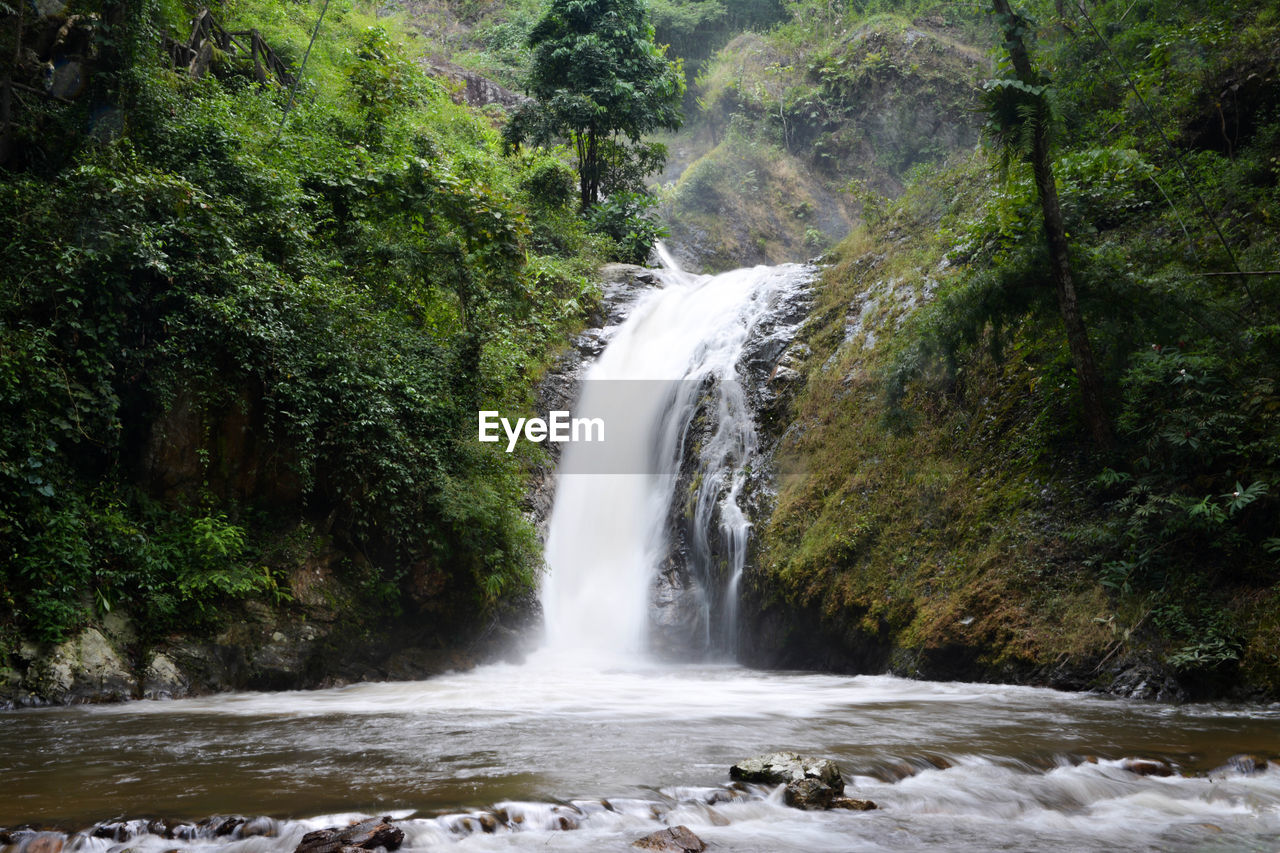 VIEW OF WATERFALL IN FOREST AGAINST SKY