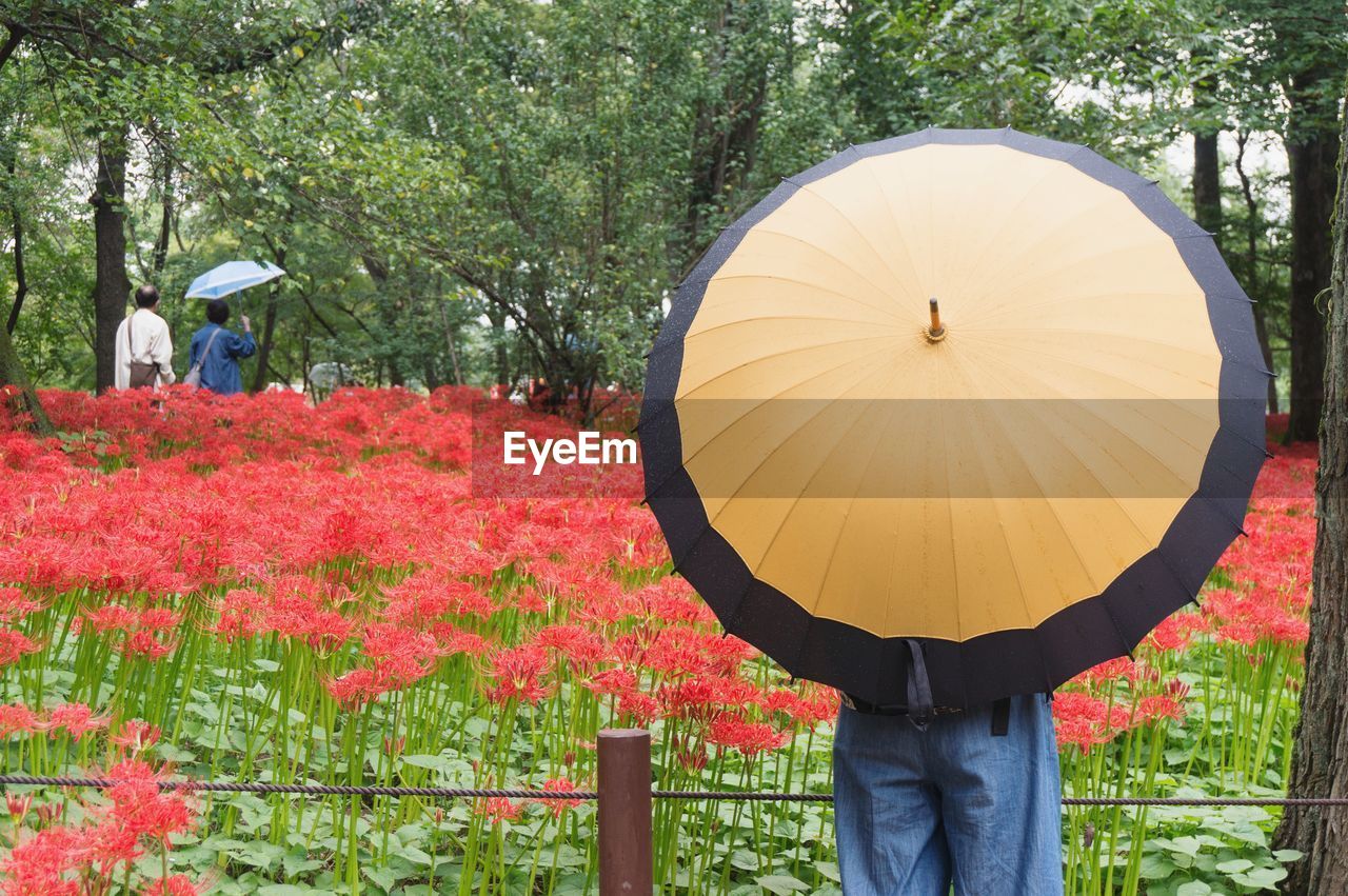 REAR VIEW OF PEOPLE STANDING BY TREE