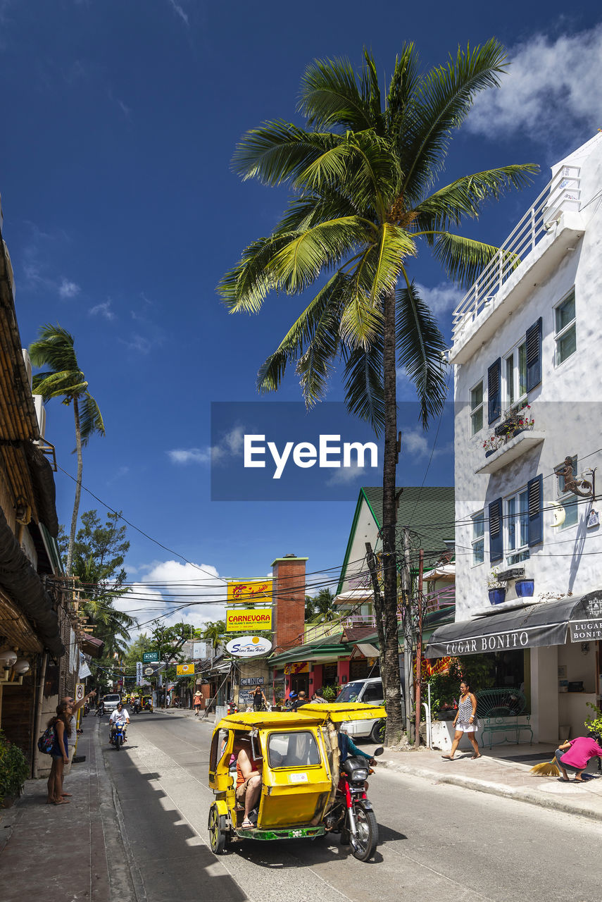 CARS ON ROAD BY PALM TREES AGAINST SKY IN CITY