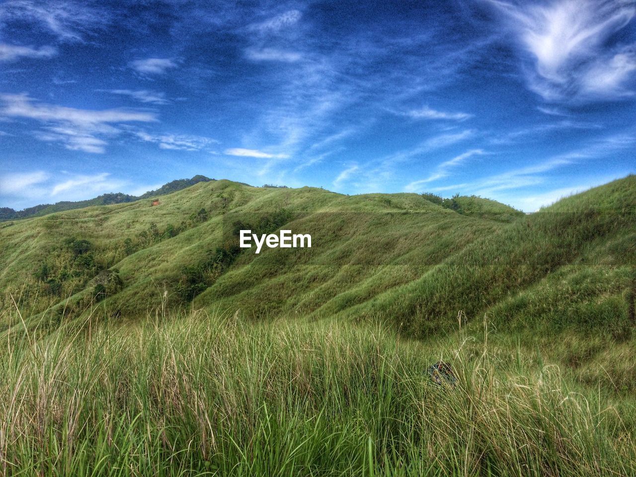 SCENIC VIEW OF GRASSY FIELD AGAINST SKY