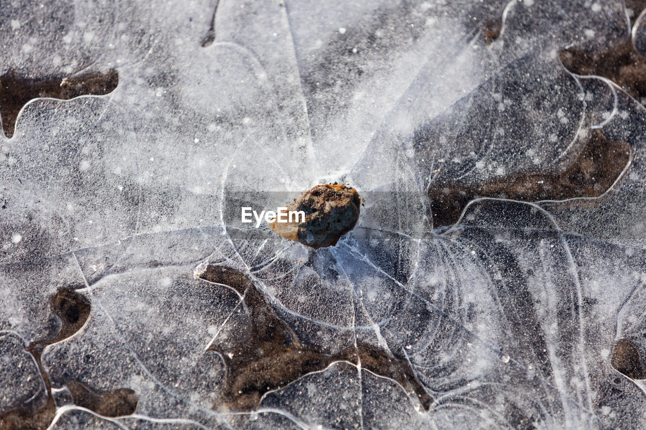 Directly above shot of rock on frozen lake