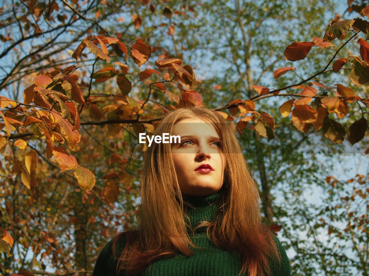 Woman looking away against trees in sunny day