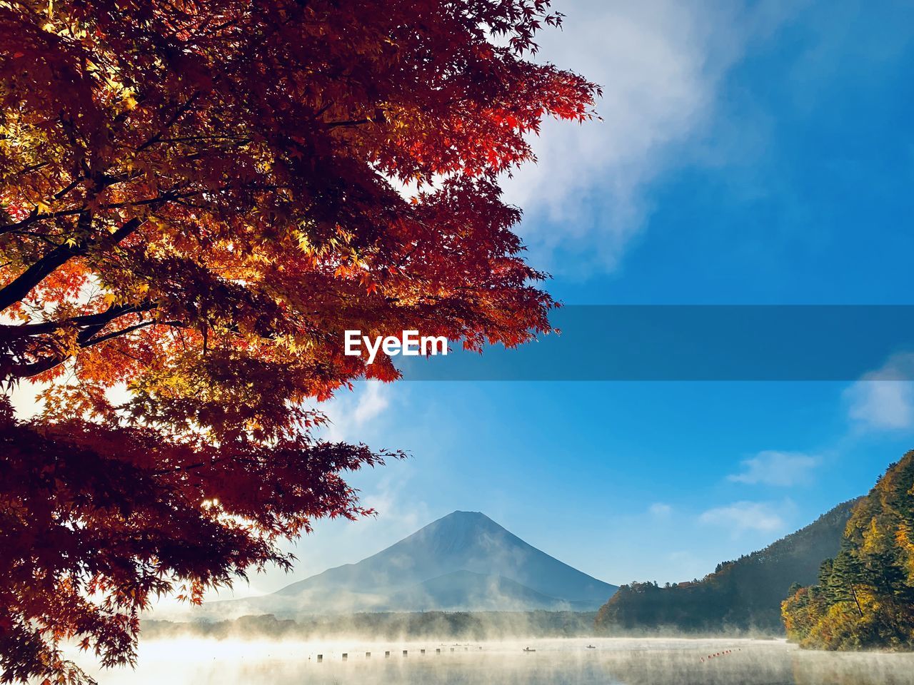 Tree by lake against sky during autumn