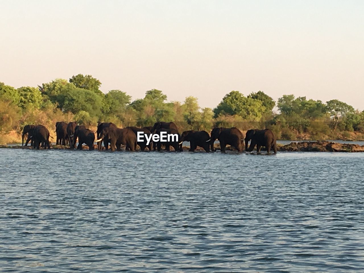 VIEW OF ELEPHANT IN LAKE AGAINST SKY