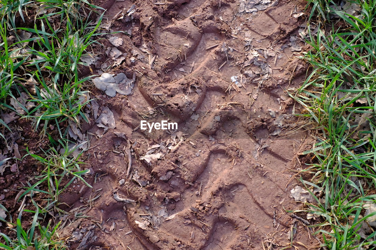 HIGH ANGLE VIEW OF A DIRT