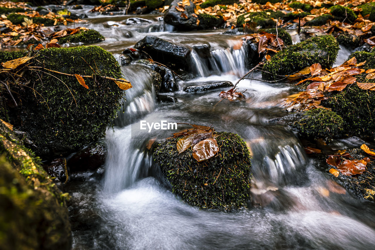 WATERFALL IN FOREST