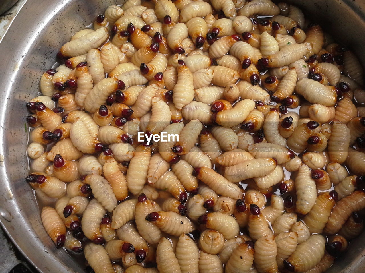 HIGH ANGLE VIEW OF BEANS IN CONTAINER