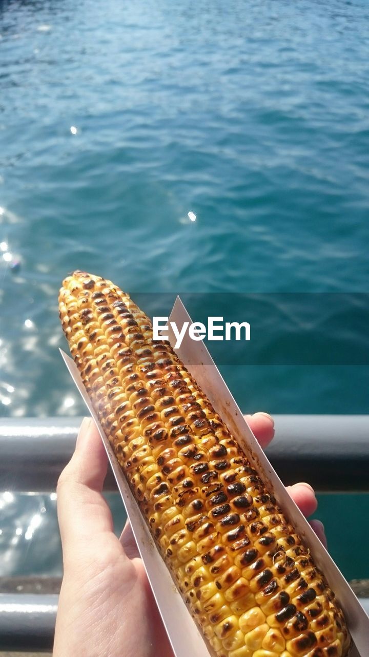 MIDSECTION OF PERSON HOLDING FOOD AT SEA