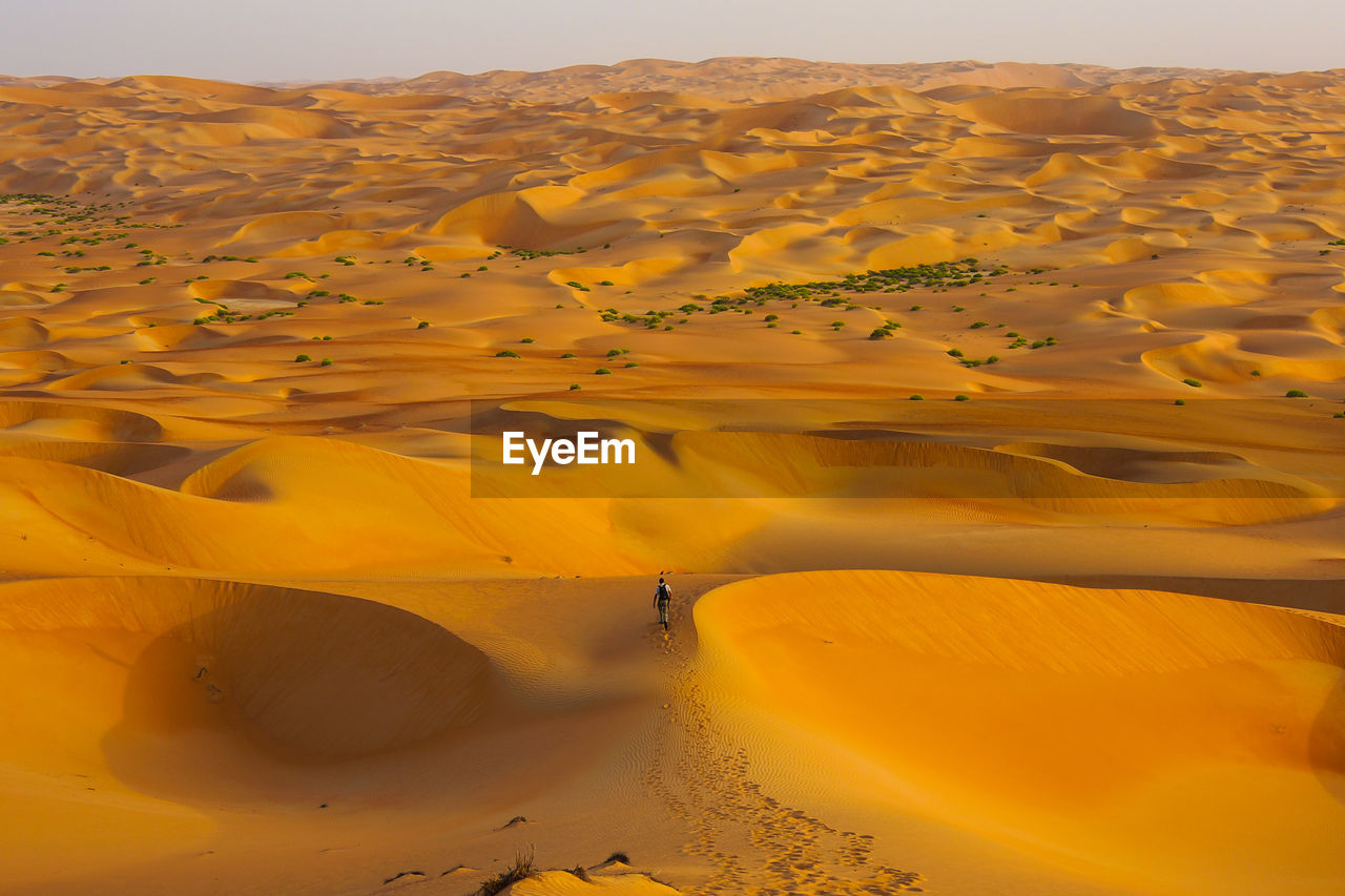 Scenic view of sand dunes in desert