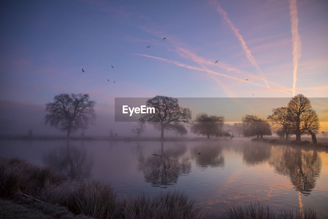 Birds flying over lake against sky during sunset