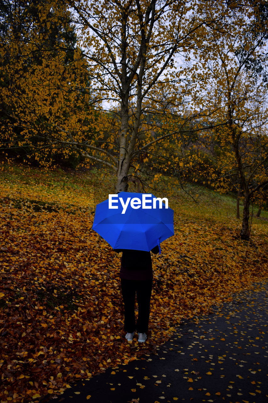 Rear view of woman standing with umbrella during autumn in forest