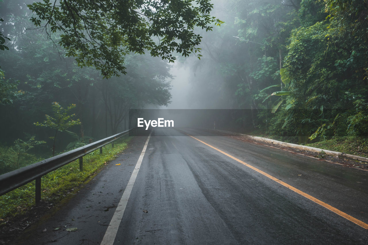 Road amidst trees in forest