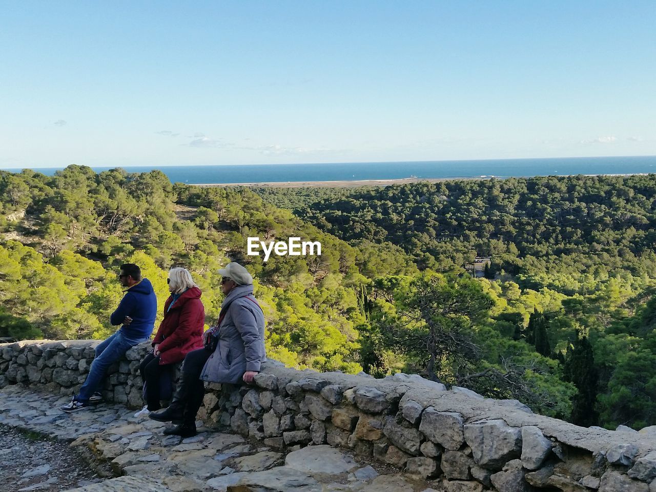 REAR VIEW OF FRIENDS ON SEA AGAINST CLEAR SKY