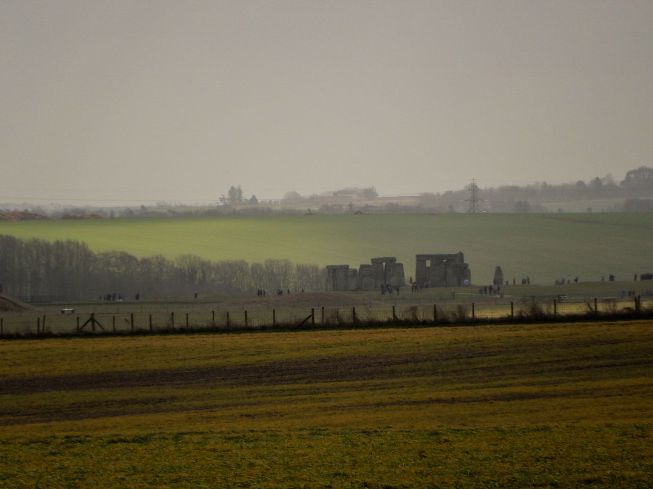 AGRICULTURAL FIELD AGAINST SKY