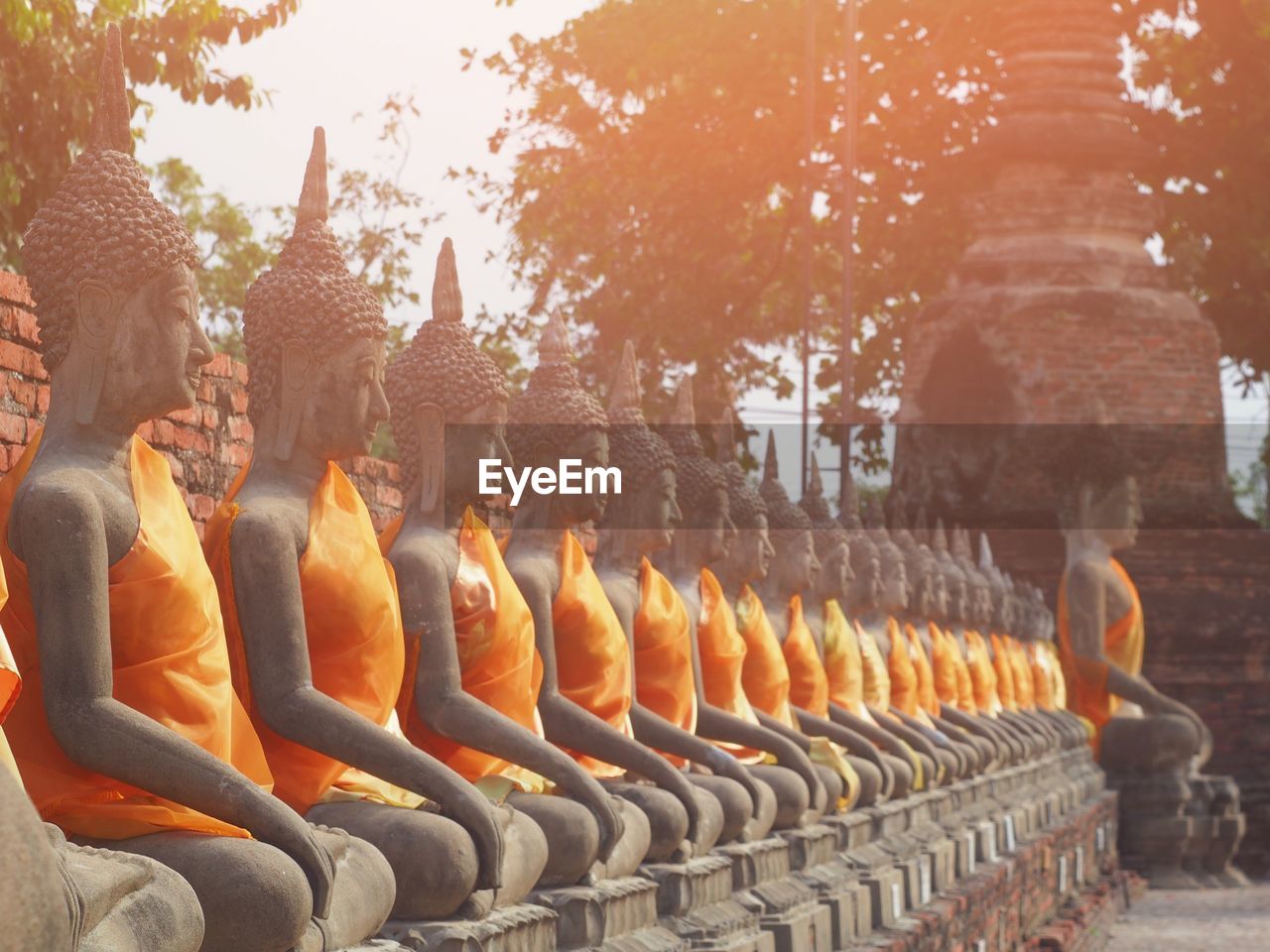 Buddha statues in row