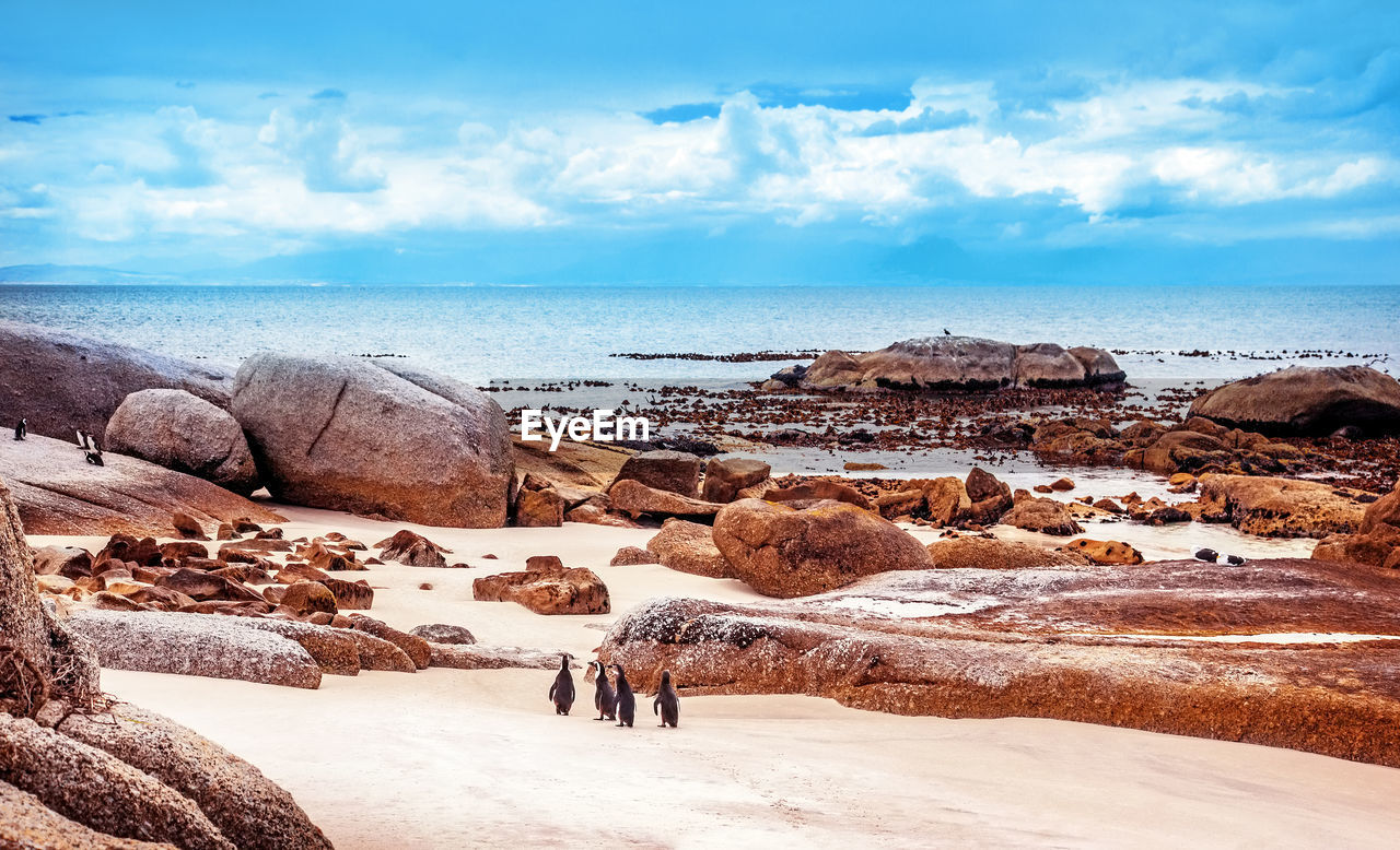 rocks on beach against sky