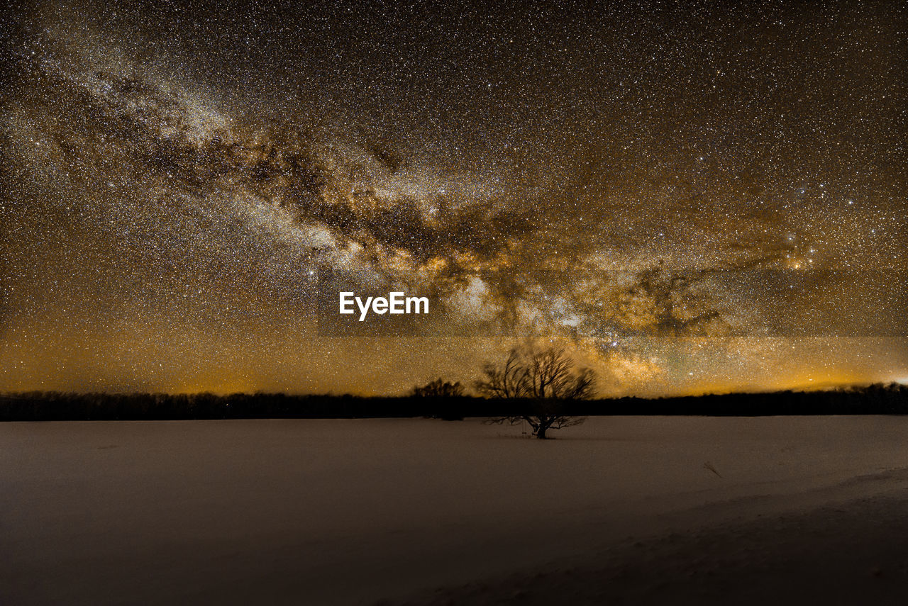 SILHOUETTE TREE ON SNOW AGAINST SKY AT NIGHT