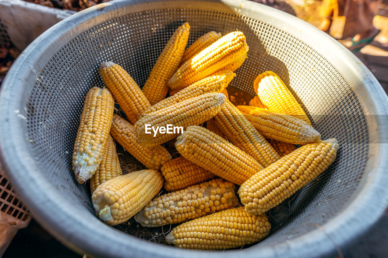 Close-up of corn