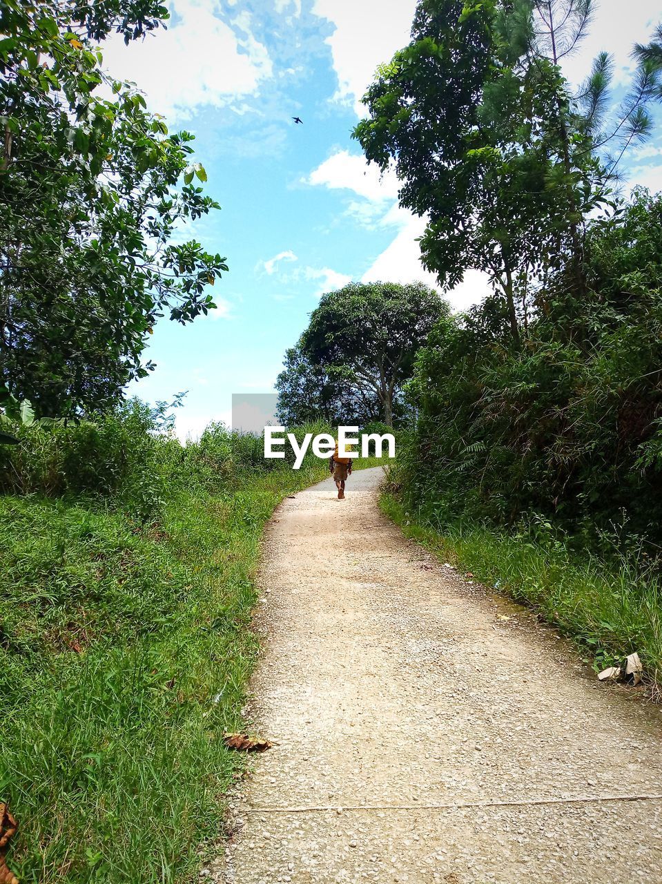 REAR VIEW OF PERSON WALKING ON FOOTPATH