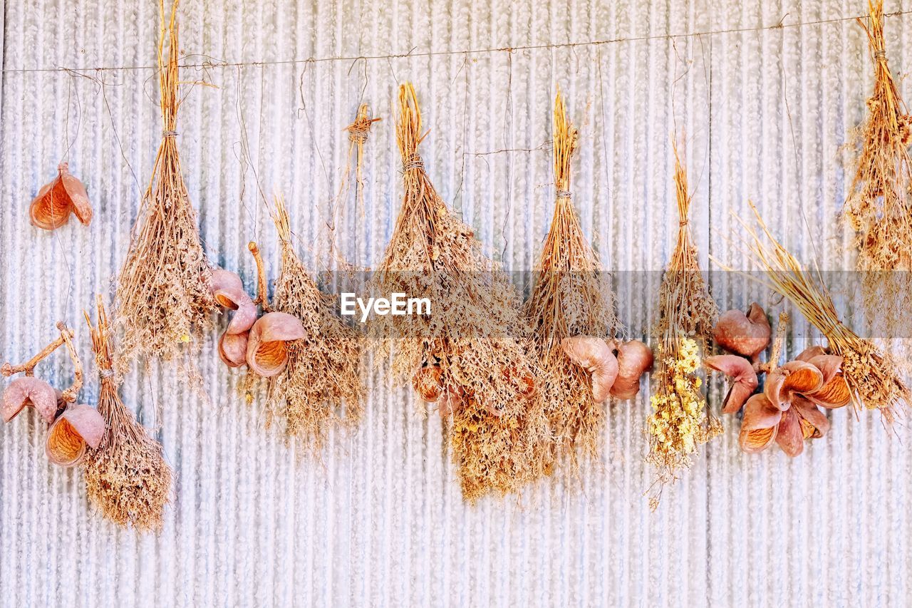 Dry flowers hanging on wire against wall