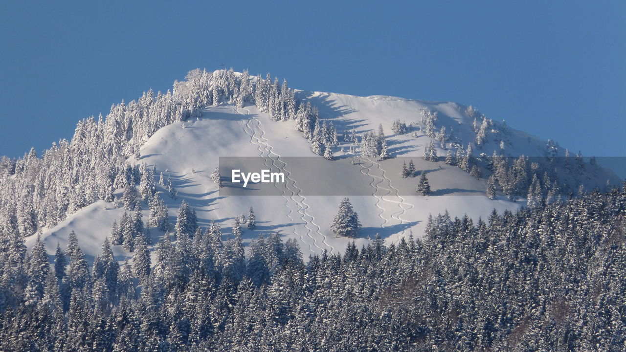 Close-up of snow on landscape against sky